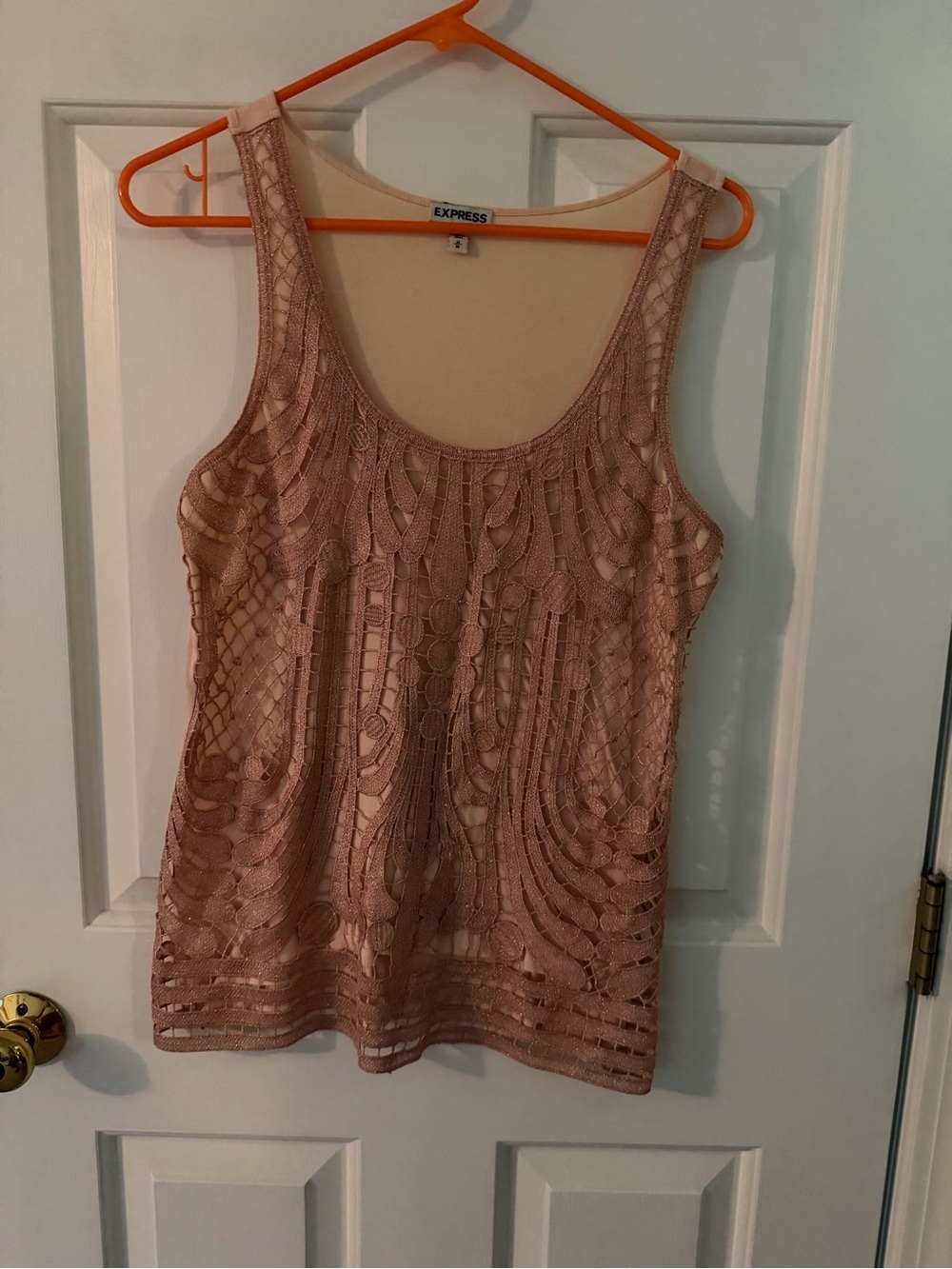 Express Lace Overlay Tank Top in Blush Pink